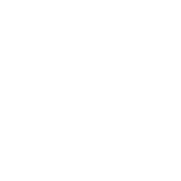 DJ Ariel Logo